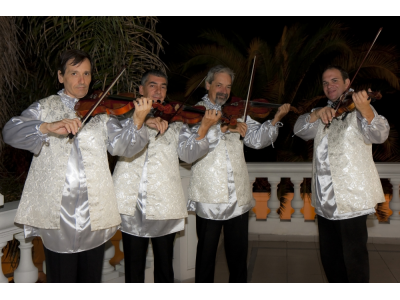 VIOLINISTAS CUARTETO DE CUERDAS