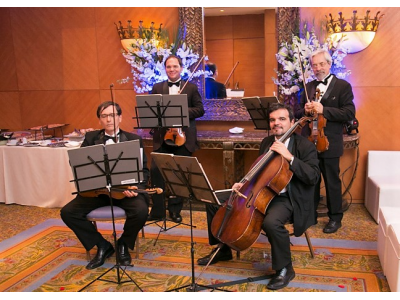 VIOLINISTAS PARA FIESTAS Y EVENTOS